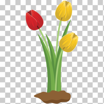 SVG Tulips SVG Tulips
