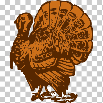 SVG turkey SVG turkey
