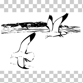 SVG Two herring gulls in flight vector image SVG Two herring gulls in flight vector image