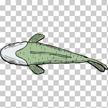 SVG Ugly fish top view vector illustration SVG Ugly fish top view vector illustration