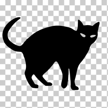 SVG Vector clip art of angry cat SVG Vector clip art of angry cat