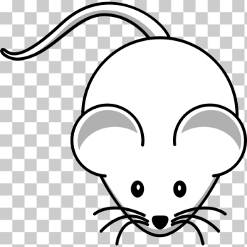 SVG Vector clip art of cartoon white mouse with long mustache