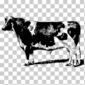 SVG Vector clip art of farming cow SVG Vector clip art of farming cow