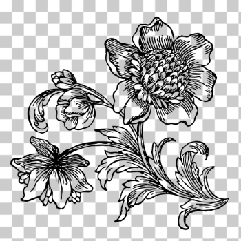 SVG Vector clip art of flowers in bloom in black and white
