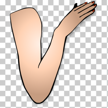 SVG Vector drawing of lady arm bent at elbow SVG Vector drawing of lady arm bent at elbow