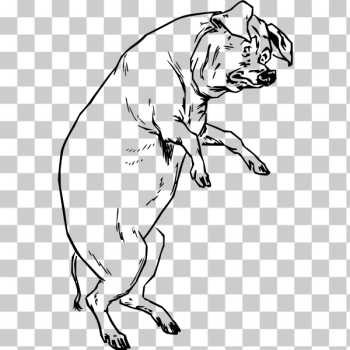 SVG Vector drawing of scared pig SVG Vector drawing of scared pig
