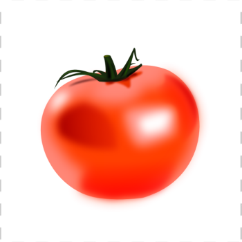 SVG Vector drawing of shiny tomato