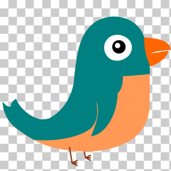 SVG Vector drawing of twitter bird SVG Vector drawing of twitter bird