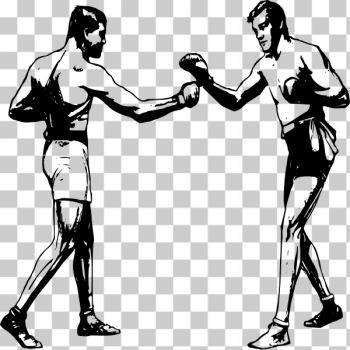 SVG Vector drawing of two boxers SVG Vector drawing of two boxers