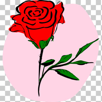 SVG Vector graphics of coloured rose SVG Vector graphics of coloured rose