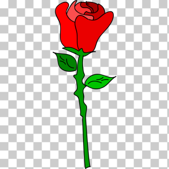 SVG Vector graphics of coloured rose SVG Vector graphics of coloured rose