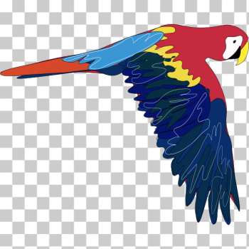 SVG Vector graphics of macaw flying SVG Vector graphics of macaw flying