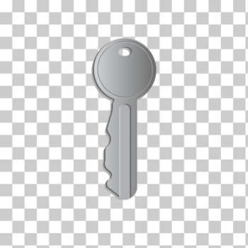 SVG Vector graphics of weird shaped door key