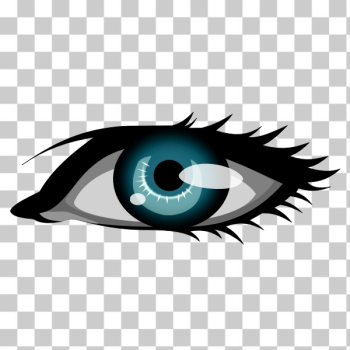 SVG Vector graphics of woman039s eye SVG Vector graphics of woman039s eye