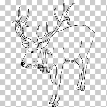 SVG Vector illustration of deer stag SVG Vector illustration of deer stag