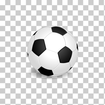 SVG Vector illustration of soccer ball