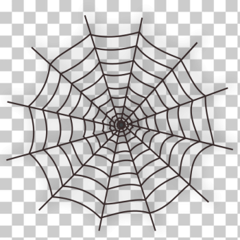 SVG Vector illustration of spider web SVG Vector illustration of spider web
