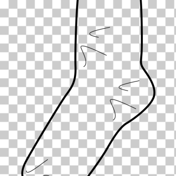 SVG Vector illustration of sports sock SVG Vector illustration of sports sock