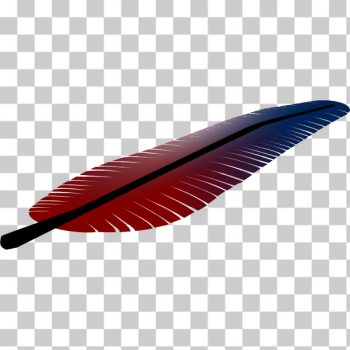 SVG Vector illustration of tilted red and blue feather SVG Vector illustration of tilted red and blue feather