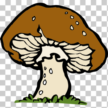 SVG Vector image of a big mushroom SVG Vector image of a big mushroom