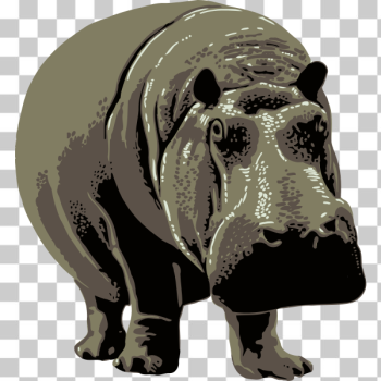 SVG Vector image of a hippo SVG Vector image of a hippo