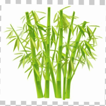 SVG Vector image of bamboo forest