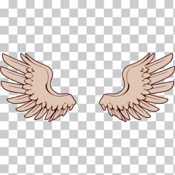 SVG Vector image of bird wings SVG Vector image of bird wings