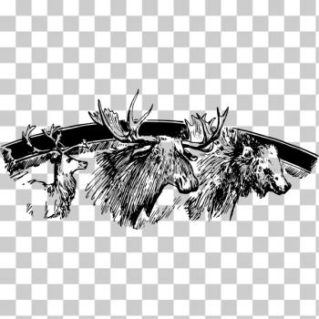 SVG Vector image of caribou moose and bear SVG Vector image of caribou moose and bear