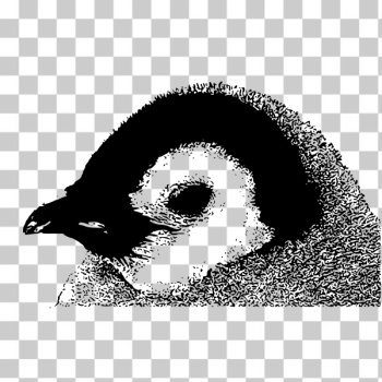 SVG Vector image of emperor penguin chick head SVG Vector image of emperor penguin chick head