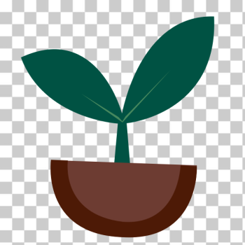 SVG Vector image of small green plant sprouts from the ground