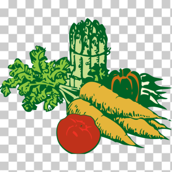 SVG Vegetables vector graphics SVG Vegetables vector graphics
