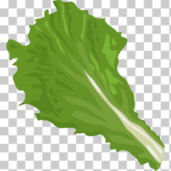 SVG Veggie leaf SVG Veggie leaf