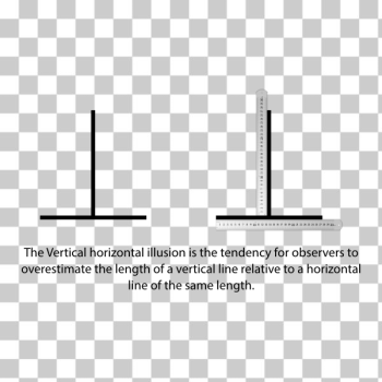 SVG Vertical Horiztonal Illusion SVG Vertical Horiztonal Illusion