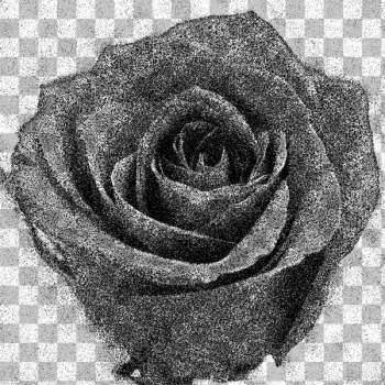 SVG Vintage rose SVG Vintage rose