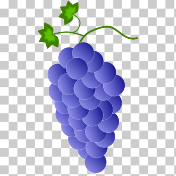 SVG Violet grapes SVG Violet grapes