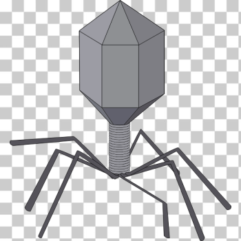 SVG Virus