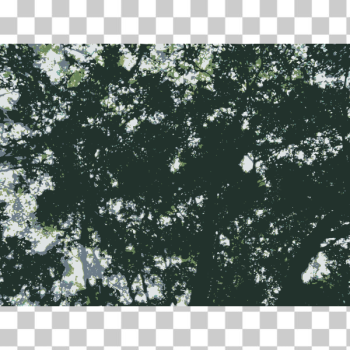 SVG Vision Forum Trees SVG Vision Forum Trees