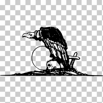 SVG Vulture and skull SVG Vulture and skull
