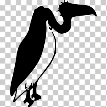 SVG Vulture silhouette vector illustration SVG Vulture silhouette vector illustration