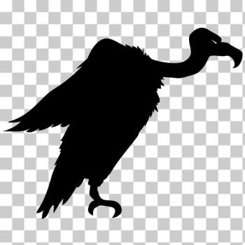 SVG Vulture silhouette vector image SVG Vulture silhouette vector image