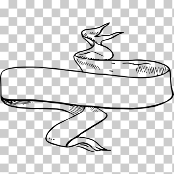 SVG Wavy banner SVG Wavy banner