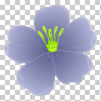 SVG Western blue flax SVG Western blue flax