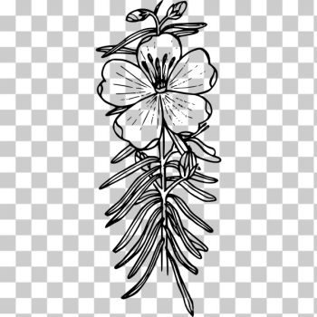 SVG Western blue flower SVG Western blue flower
