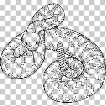 SVG Western diamondback SVG Western diamondback