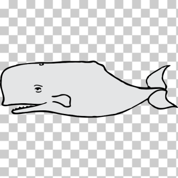 SVG whale SVG whale