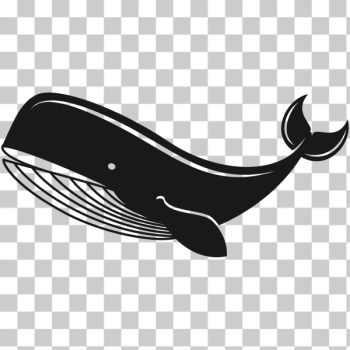 SVG Whale SVG Whale