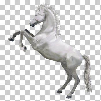 SVG White horse SVG White horse