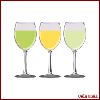 SVG White wine SVG White wine