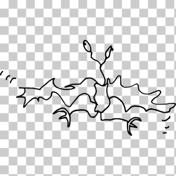 SVG Wierd bat SVG Wierd bat