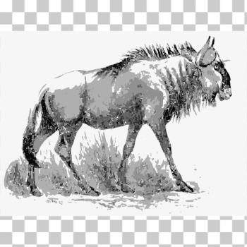 SVG Wild beast SVG Wild beast